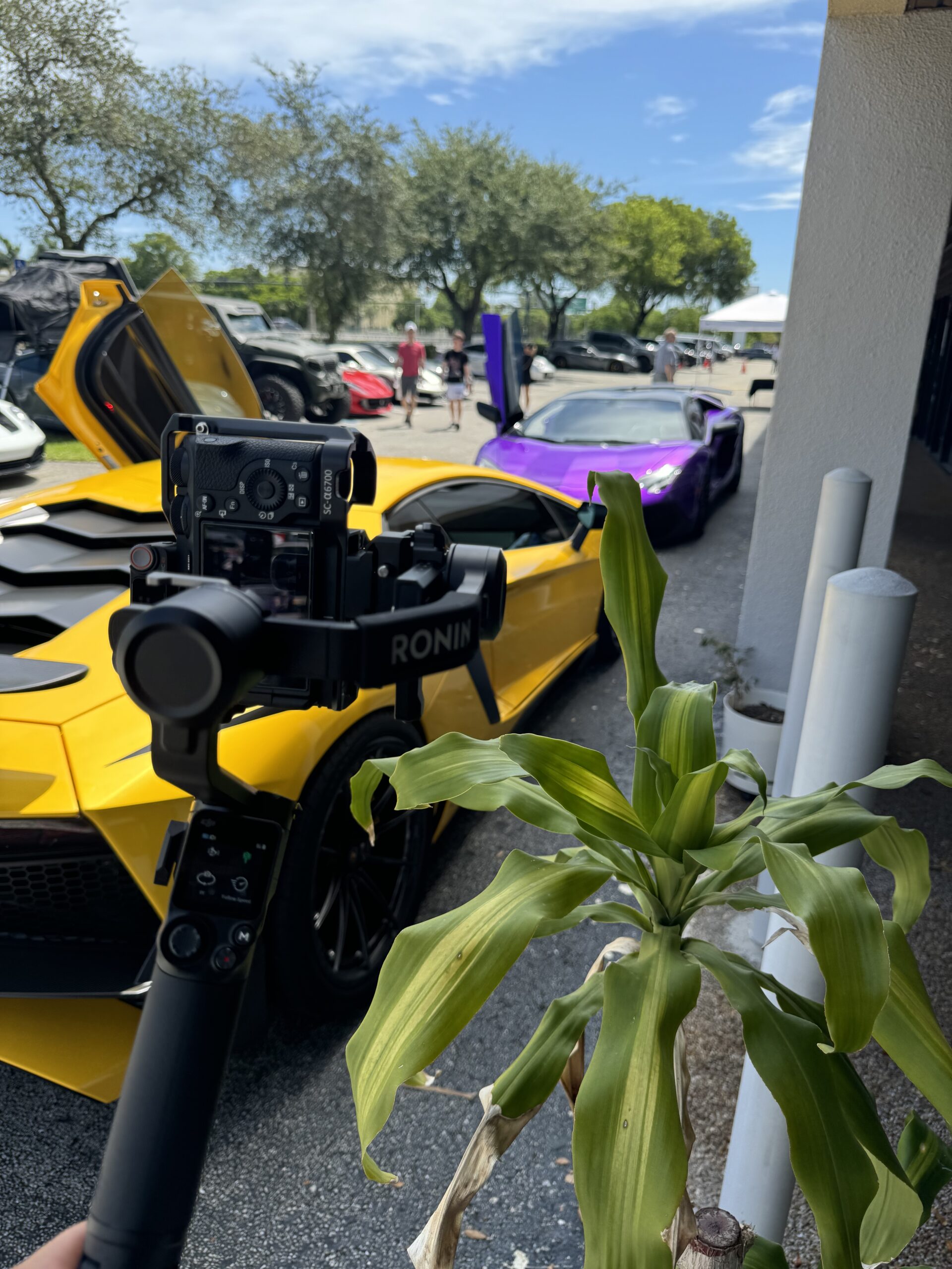 Luxury Car Campaign - Behind the Scenes